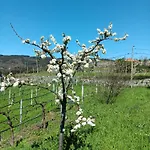 펜션 Quinta Do Giz 바이아오