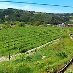 Quinta Do Giz Baiao