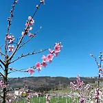 Holiday home Quinta Do Giz