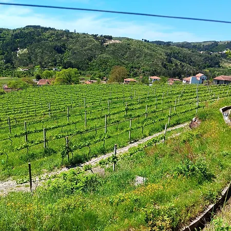 Quinta Do Giz Baião