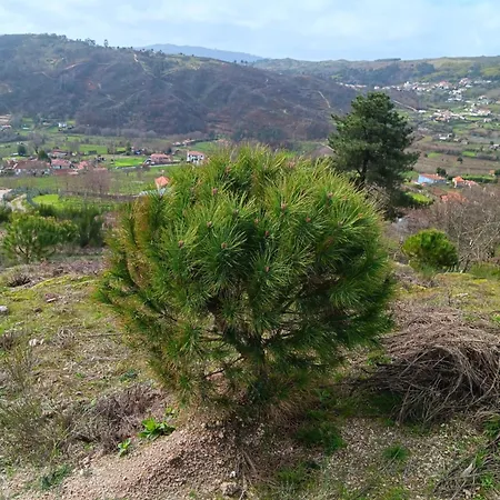 Quinta Do Giz Baião